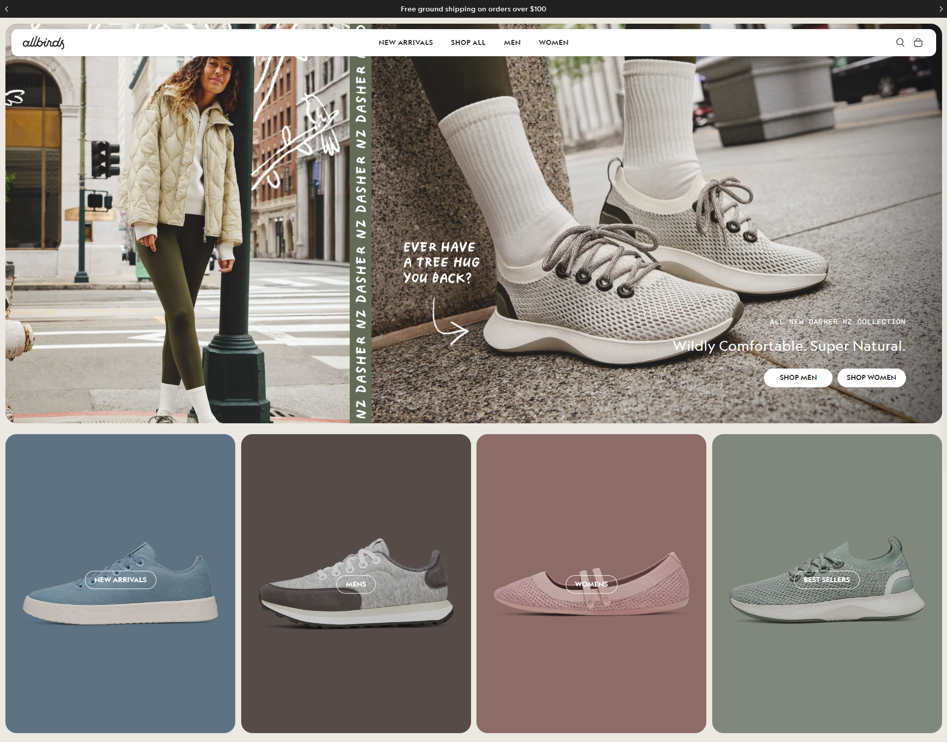 Allbirds WooCommerce Store